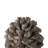 Daisy Pinecone Table Decor, Polyresin Decorative Accent for Home Display
