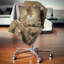 Coussin lombaire abstrait