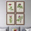 «Pretty Pink Botanicals II», toile encadrée de qualité supérieure - prête à être accrochée-1603343132-1603343133