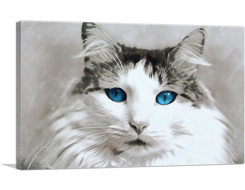 Ragdoll Cat Breed Blue Eyes - Reproduction d'art graphique sur toile tendue, H 12 po x l 18 po x P 0,75 po