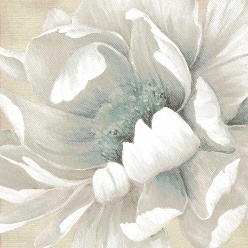 Art sur toile tendue par Red Barrel Studio® Robinson, Carol, Winter Blooms II