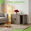 Litter Box-1368030934