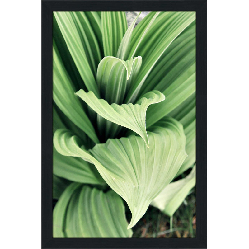 «Green Leaf Blooms I», reproduction de peinture à l'aquarelle, H 49,5 po x l 33,5 po x P 1 po, Cadre espresso