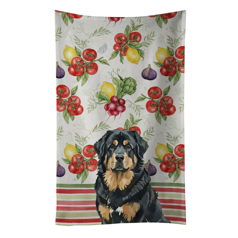 Torchon noir et brun clair, Black/Tan Tibetan Mastiff