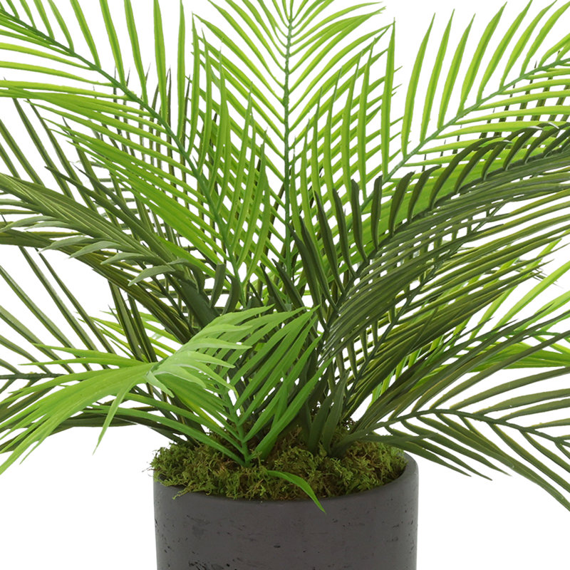 UV Rated Outdoor Palm in Fiberstone Pot