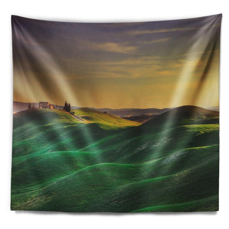 Tapisserie «Green Rolling Hils in Crete Senesi», H 50 po x l 60 po