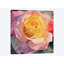 « fleur i », impression sur toile-72795707-72795702-29084368