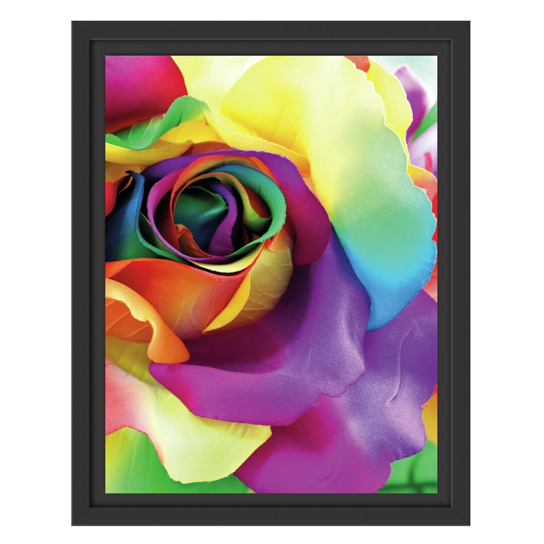 Gerahmtes Wandbild Bunte Rosen