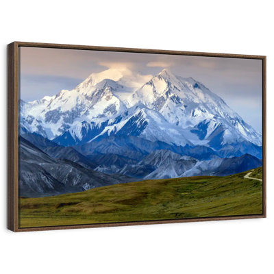 Denali In Alaska