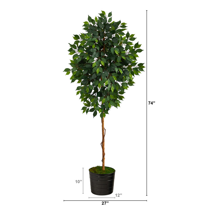 72'' Faux Ficus Tree in Metal Planter, Black