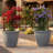 Anjelica Polyresin Large Round Outdoor Planter - 24" - Gray-1092639356-1092639344