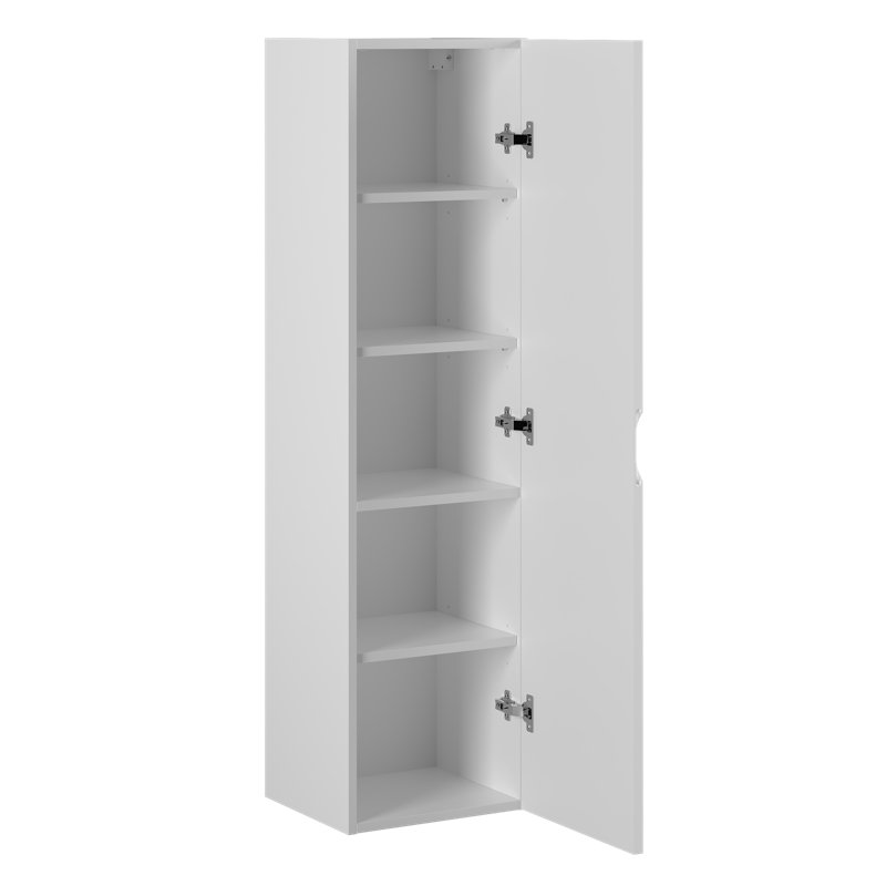 Aracri Wall Mounted Required Bathroom Cabinet