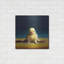 «Yoga Chick Front Split» par Lucia Heffernan-516657028