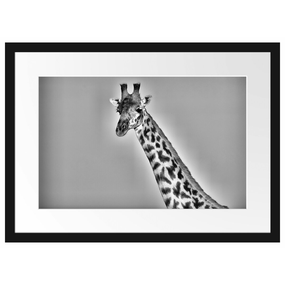 Gerahmtes Poster Majestätische Giraffe