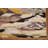 Rushden Cotton Indoor Rug