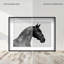 Midnight Majesty I Framed Graphic Art-1749364583-1743286230