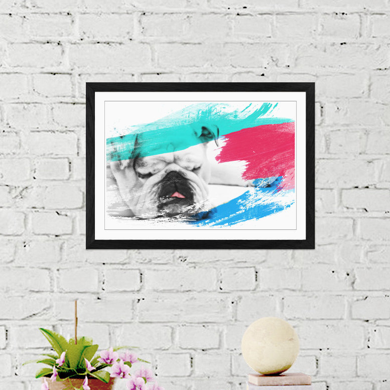 White British Bulldog Framed Art - Framed Print