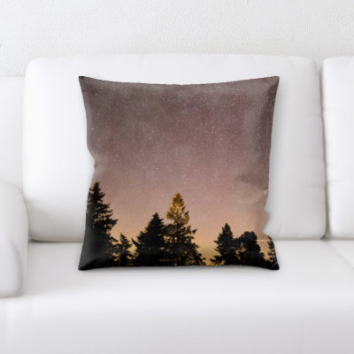 Weinberg Microsuede Throw Pillow