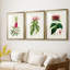 «Pretty Pink Botanicals VII», reproduction sur mesure encadrée de qualité supérieure - 3 pièces-550655968-550655998