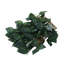 Fence Panels Included-2052050991