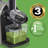 Slow Masticating Juicer