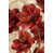 Toile tendue sélectionné