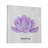 " Echeveria Laui I "-1786380826