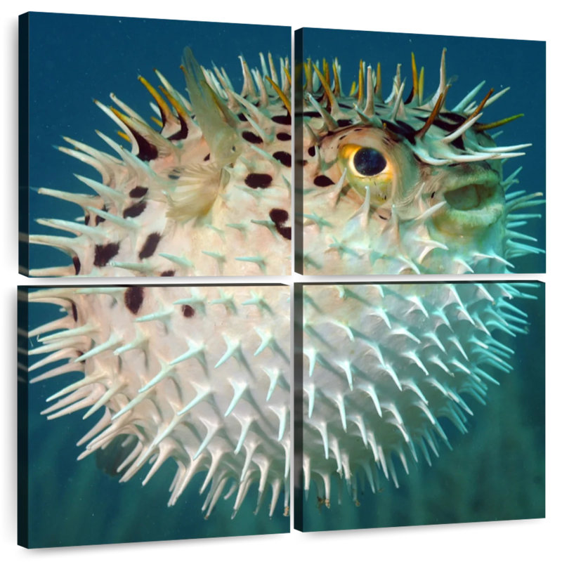 Brampt Puffer Fish, 74" H x 74" W