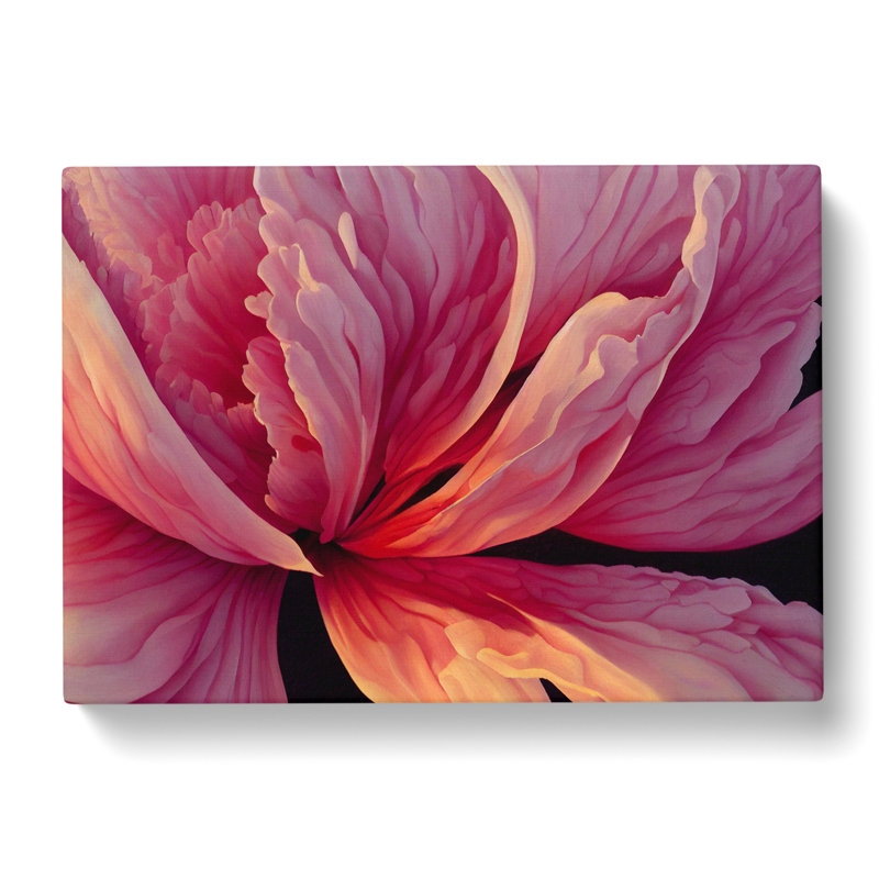 Riveting Carnation Flower - Wrapped Canvas, 40cm H x 60cm W x 3cm D