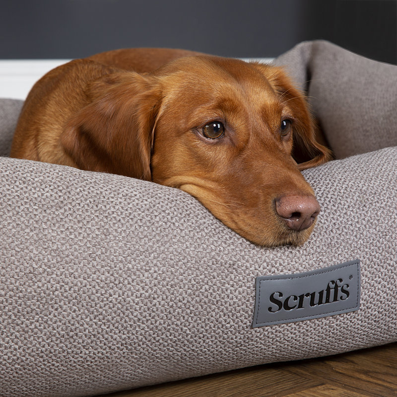 Scruffs Seattle - Luxury Dog & Cat Bed , 21cm H x 60cm W x 50cm D, Stone Grey