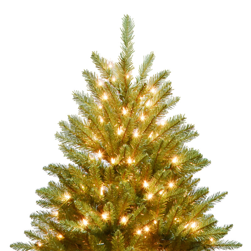 Lighted Christmas Tree