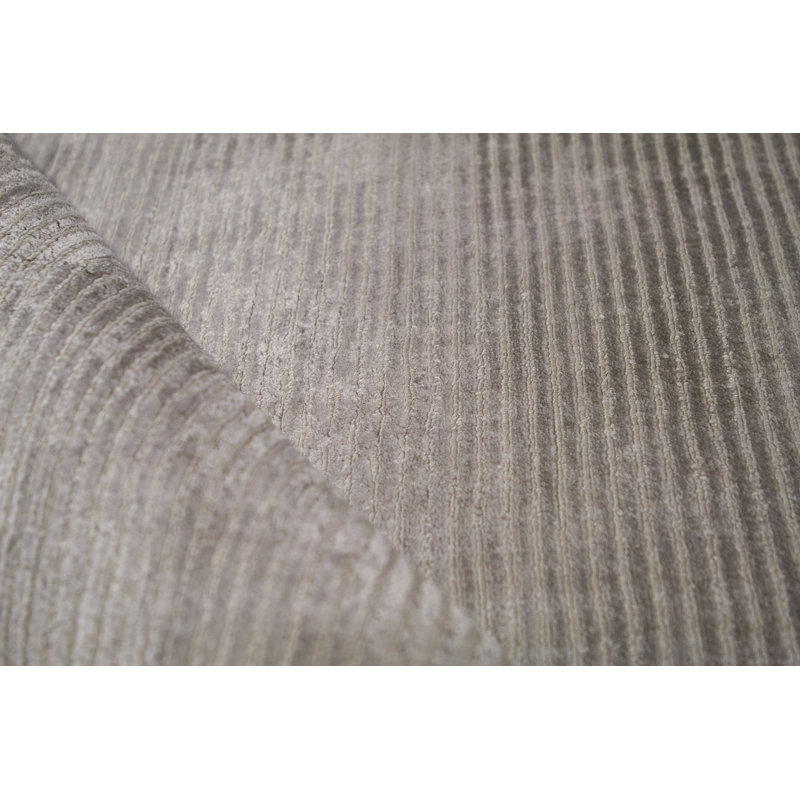 Area Rug in Beige