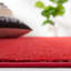 Tapis rouge Jahzel-1534444923