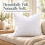 Luxueux ensemble de 1 coussin décoratif en duvet blanc 100% blanc - housse 100% coton, duvet de qualité supérieure, plusieurs tailles-93653176