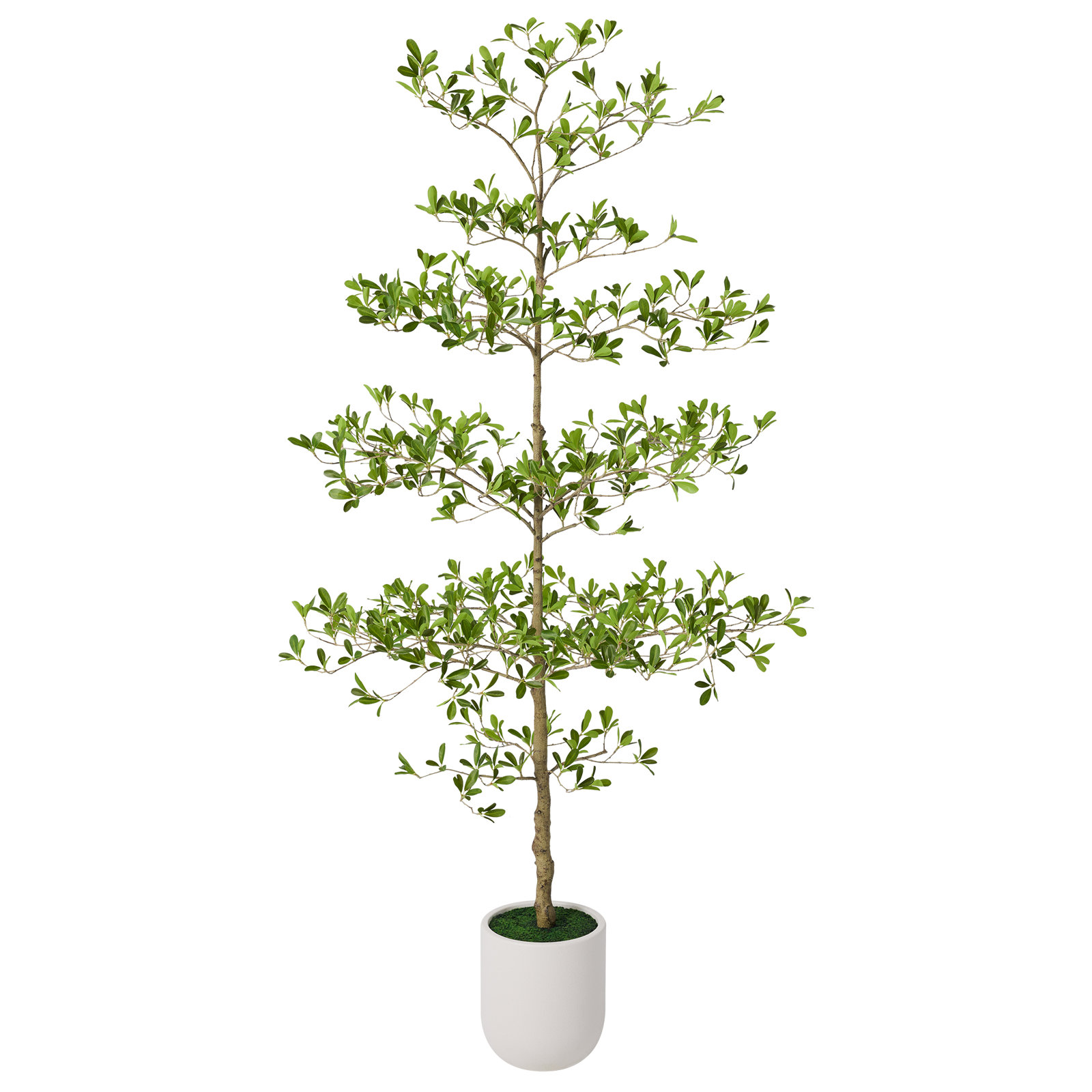 Artificial Olive Tree With Large White Planter, Tall Faux Olive Tree Indoor, Decorative Faux Olive Tree For Living Room Home Office Corner Decor