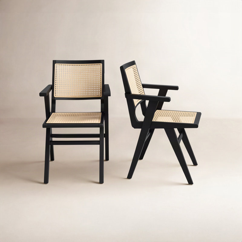 Fauteuil Atticus Cane, Noir, noir, noir, noir