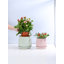 Petit pot en terre cuite roulé à la main avec soucoupe intégrée - Intérieur-1299429188-1299429190
