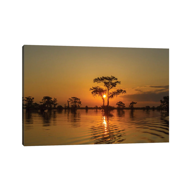USA, Louisiana, Atchafalaya National Wildlife Refuge. Sunrise On Swamp. by Jaynes Gallery - Wrapped Canvas Gallery-Wrapped Canvas Giclée