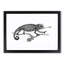Chameleon in Black & White by George Shaw - Framed Print-55621377-55621378