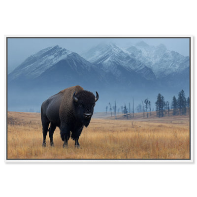 Mountain Bison I Print by Oliver Gal