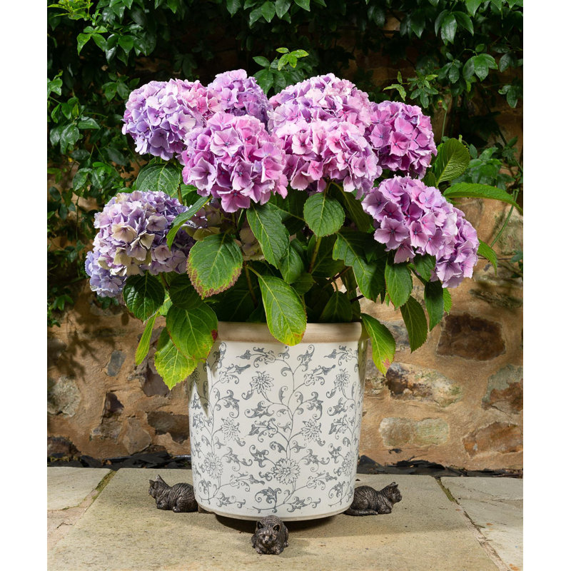Elara Weather Resistant Planter Feet