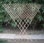 24'' H x 60'' W Wood Trellis