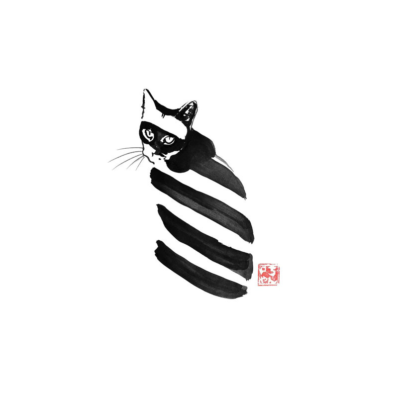 Zebra Cat by Péchane - Print on Canvas, 30.48 cm H x 45.72 cm W, Wrapped Canvas