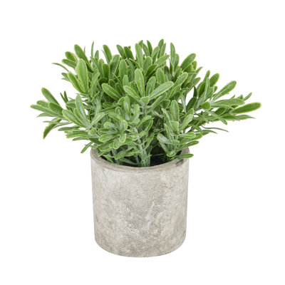 50.8 cm H Faux Plant