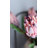 Pink Mink Protea 29"