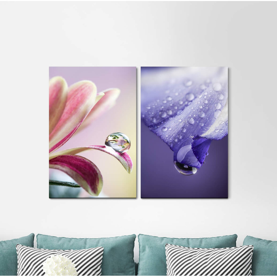 2-tlg. Leinwandbilder-Set - Fotografie „Flowers Water Drops Violet Harmony”