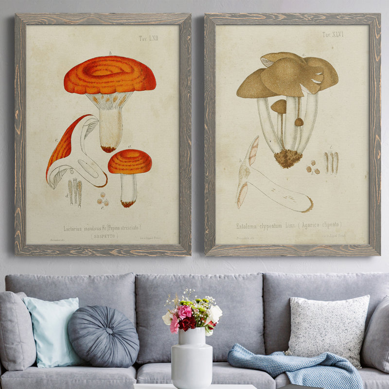 Toile encadrée de qualité supérieure Mushroom Variétés, Toile avec cadre gris, H 43,5 po x l 31,5 po x P 1 po