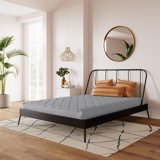 Matelas en mousse à mémoire de forme moyenne 6 po Red Barrel Studio Beuthel