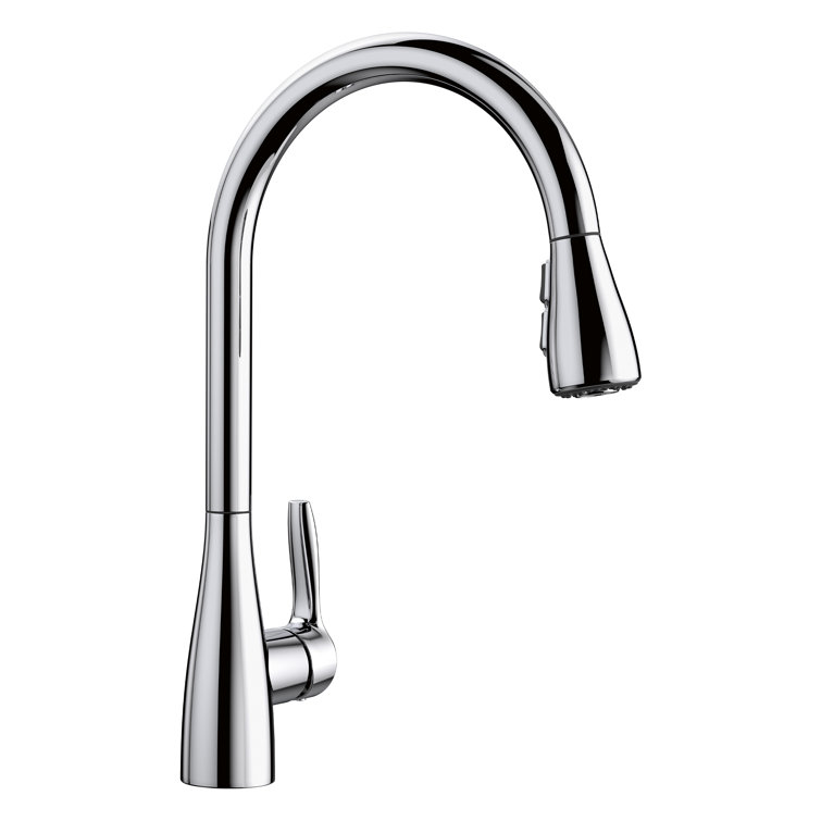 Atura Pull Down Dual Spray Kitchen Faucet