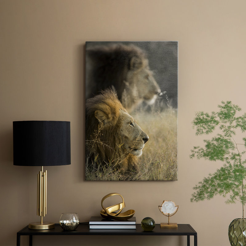 Lions au soleil du matin - Cavas enveloppés de galerie, H 27 po x l 18 po